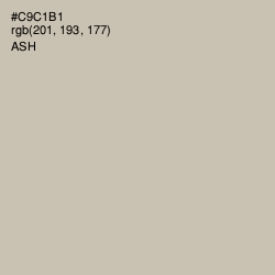 #C9C1B1 - Ash Color Image