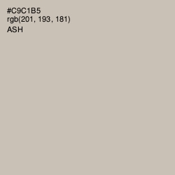 #C9C1B5 - Ash Color Image