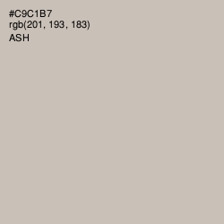 #C9C1B7 - Ash Color Image