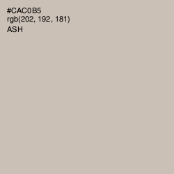 #CAC0B5 - Ash Color Image