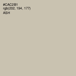 #CAC2B1 - Ash Color Image