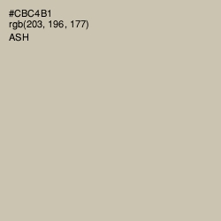 #CBC4B1 - Ash Color Image