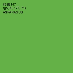 #63B147 - Asparagus Color Image