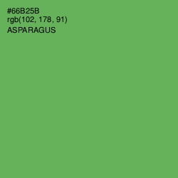 #66B25B - Asparagus Color Image