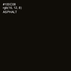 #100C08 - Asphalt Color Image