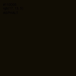 #110D05 - Asphalt Color Image