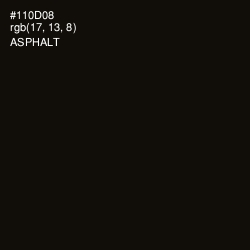 #110D08 - Asphalt Color Image