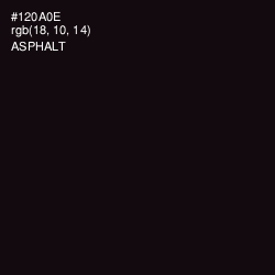 #120A0E - Asphalt Color Image