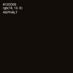 #120D09 - Asphalt Color Image