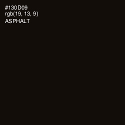 #130D09 - Asphalt Color Image