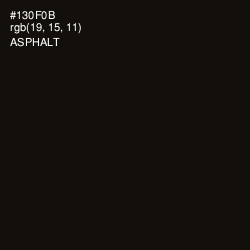 #130F0B - Asphalt Color Image