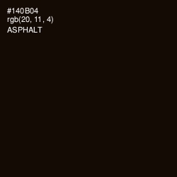 #140B04 - Asphalt Color Image