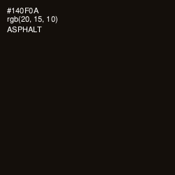 #140F0A - Asphalt Color Image