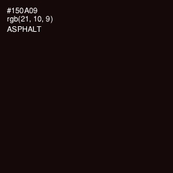 #150A09 - Asphalt Color Image