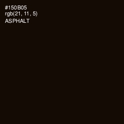 #150B05 - Asphalt Color Image