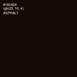 #160A04 - Asphalt Color Image