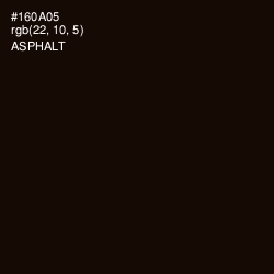 #160A05 - Asphalt Color Image