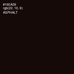 #160A09 - Asphalt Color Image