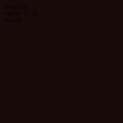 #160C09 - Asphalt Color Image
