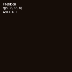 #160D08 - Asphalt Color Image