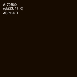 #170B00 - Asphalt Color Image