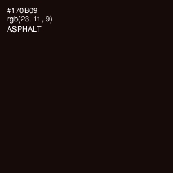 #170B09 - Asphalt Color Image