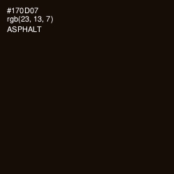 #170D07 - Asphalt Color Image