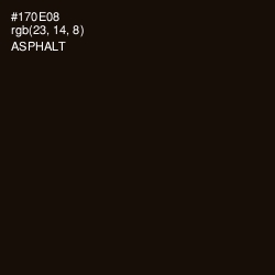 #170E08 - Asphalt Color Image