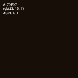 #170F07 - Asphalt Color Image