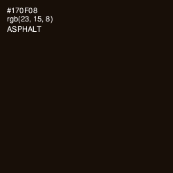 #170F08 - Asphalt Color Image