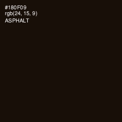 #180F09 - Asphalt Color Image