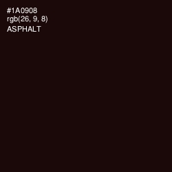 #1A0908 - Asphalt Color Image