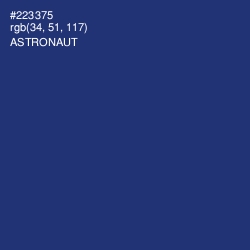#223375 - Astronaut Color Image