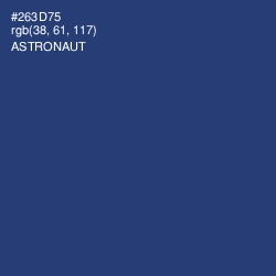 #263D75 - Astronaut Color Image