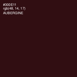 #300E11 - Aubergine Color Image