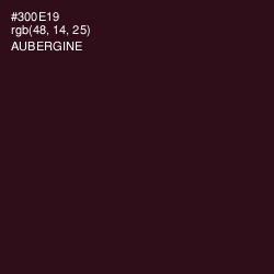 #300E19 - Aubergine Color Image