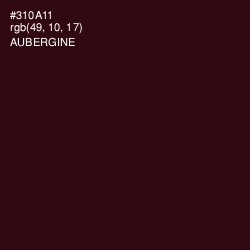 #310A11 - Aubergine Color Image