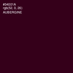 #34001A - Aubergine Color Image