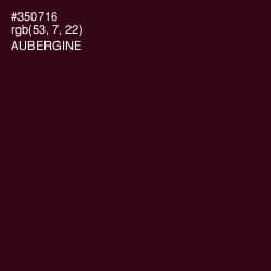 #350716 - Aubergine Color Image