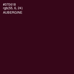 #370618 - Aubergine Color Image
