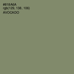 #818A6A - Avocado Color Image