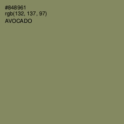 #848961 - Avocado Color Image