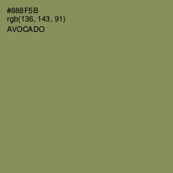 #888F5B - Avocado Color Image