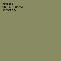 #898B63 - Avocado Color Image