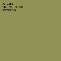 #919256 - Avocado Color Image