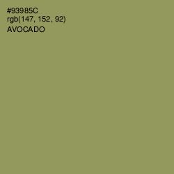 #93985C - Avocado Color Image