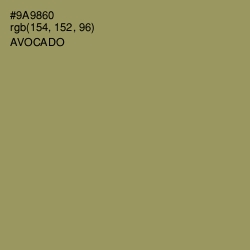 #9A9860 - Avocado Color Image