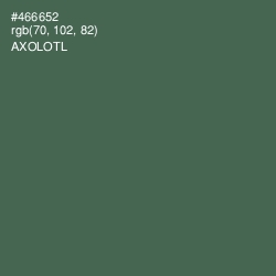 #466652 - Axolotl Color Image