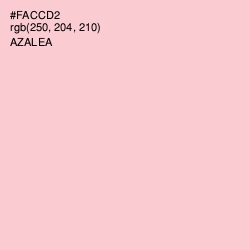 #FACCD2 - Azalea Color Image