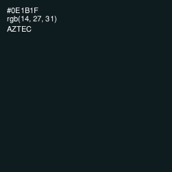 #0E1B1F - Aztec Color Image